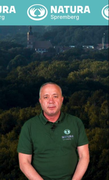 Folge 1: - Startschuss zur Themenreihe Mann in grünem Polohemd vor einem bewaldeten Landschaftshintergrund.